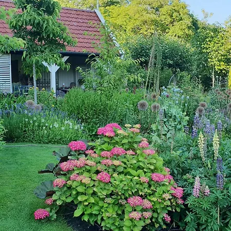 Bed and Breakfast Slapen Bij De Burgemeester 3*