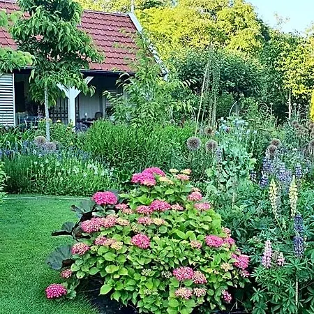 Bed & Breakfast Slapen Bij De Burgemeester 3*