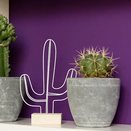 Slapen Bij De Burgemeester Sint Pancras