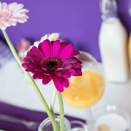 Slapen Bij De Burgemeester Bed and Breakfast Sint Pancras